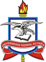 UFPA 2018: Concorrência PS 2018
