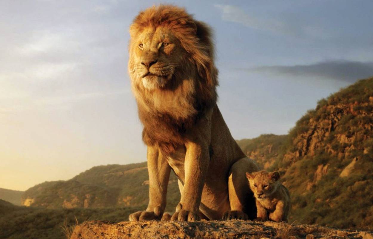 Estreia de O Rei Leão já arrecadou mais de 531 milhões