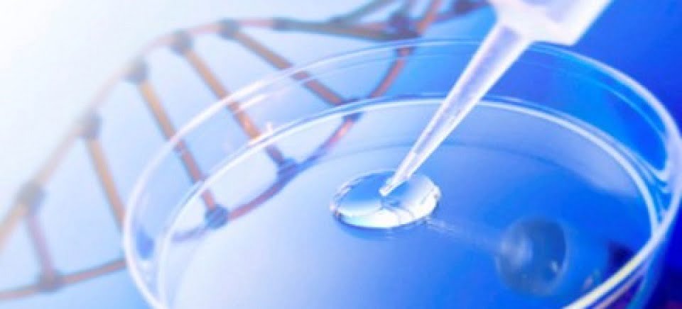 Questão comentada sobre aplicações biotecnológicas, da UEPG
