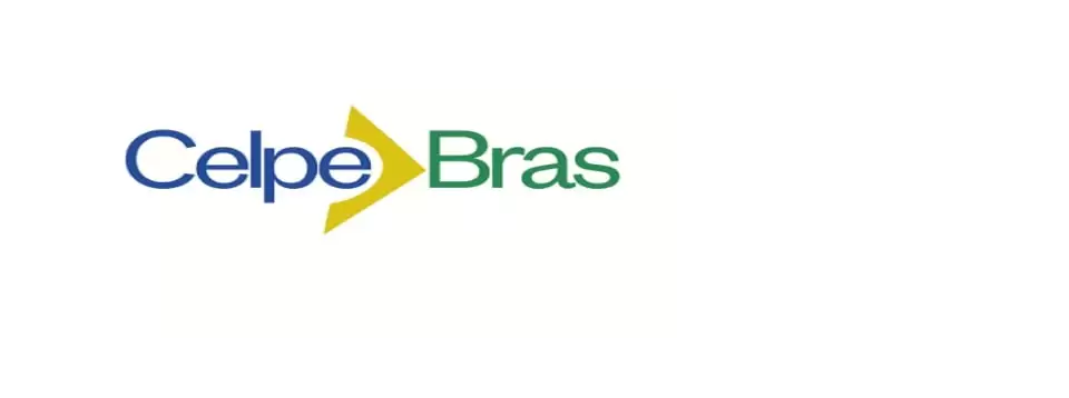 CELPE-BRAS 2020