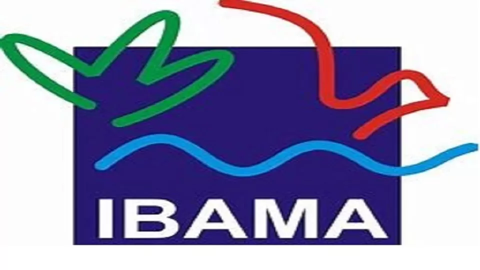 IBAMA abre seleção para 1.481 vagas temporárias para Brigadistas