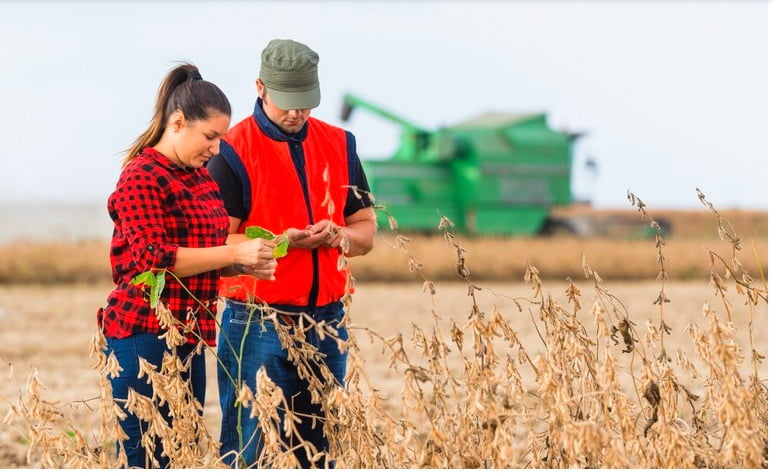 Inscrição para Programa de Residência Agrícola, que levará qualificação profissional a estudantes