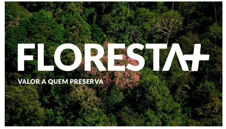 Programa Floresta+