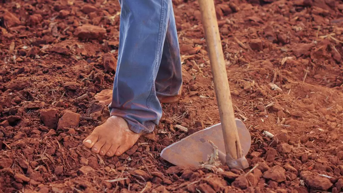 Entenda aposentadoria por idade rural