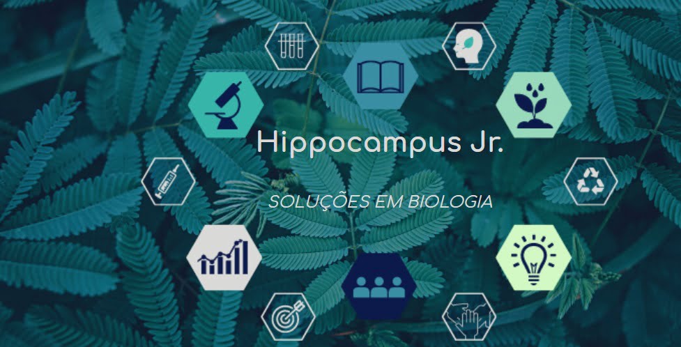 Hippocampus UFMG realizará aulão interdisciplinar para o Enem