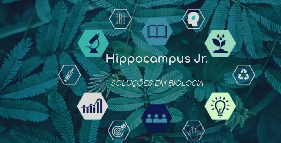 Hippocampus UFMG realizará aulão interdisciplinar para o Enem