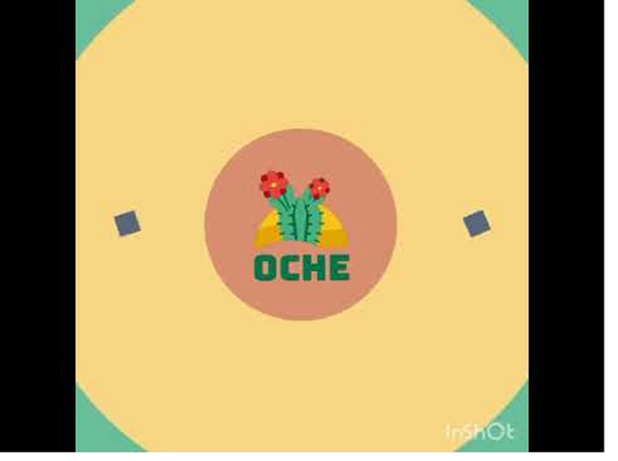 Oche Ceará 2021: Inscrição de 13 a 30 de setembro