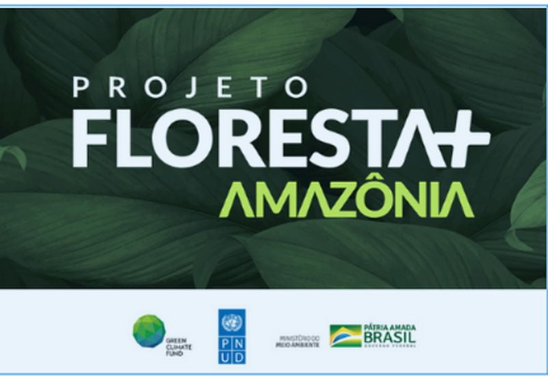 Projeto Floresta+ Amazônia: Veja como se inscrever e receber incentivos financeiros