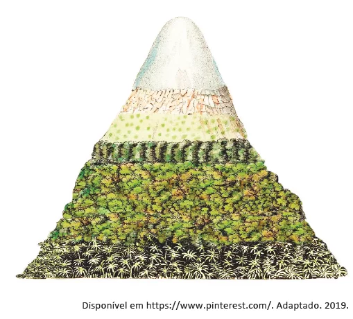 Questão resolvida sobre vegetação e altitude, da Fuvest