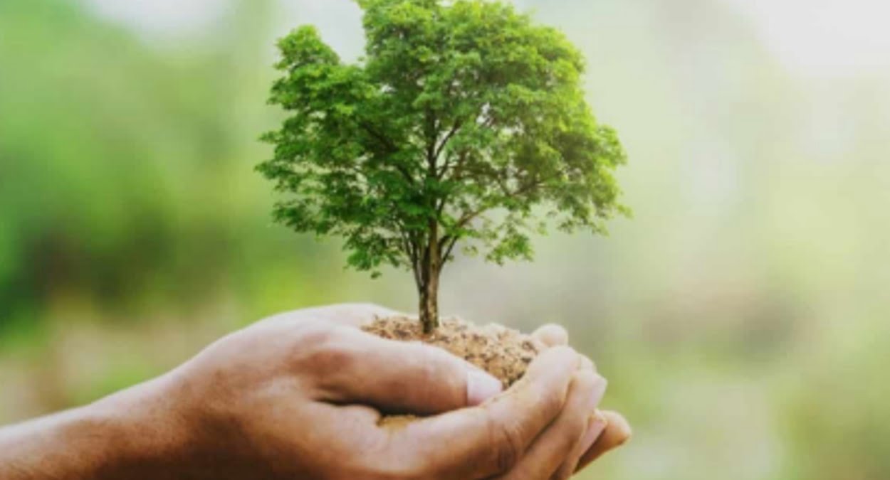 Cursos Gratuitos à distância: Meio Ambiente abriu inscrição para 6.000 vagas