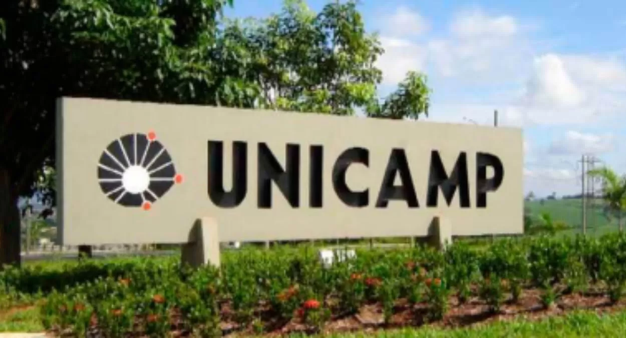Cursos Gratuitos: Unicamp lança 15 cursos on line, veja como participar