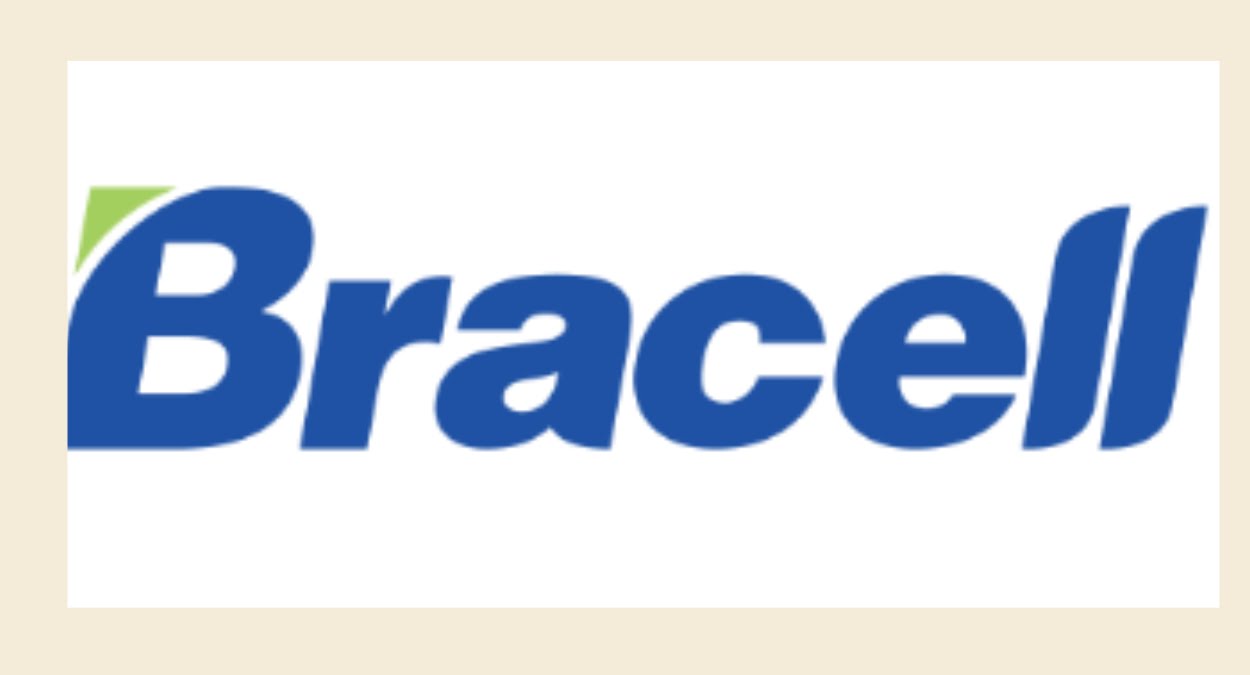 Inscrições Abertas para Trainee 2024 da Bracell, veja como se inscrever