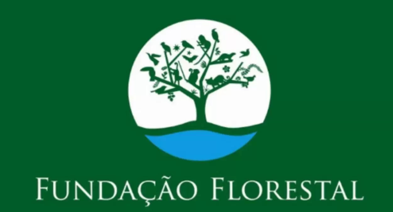 Fundação Florestal de São Paulo Oferece Formação para Monitores Ambientais Autônomos
