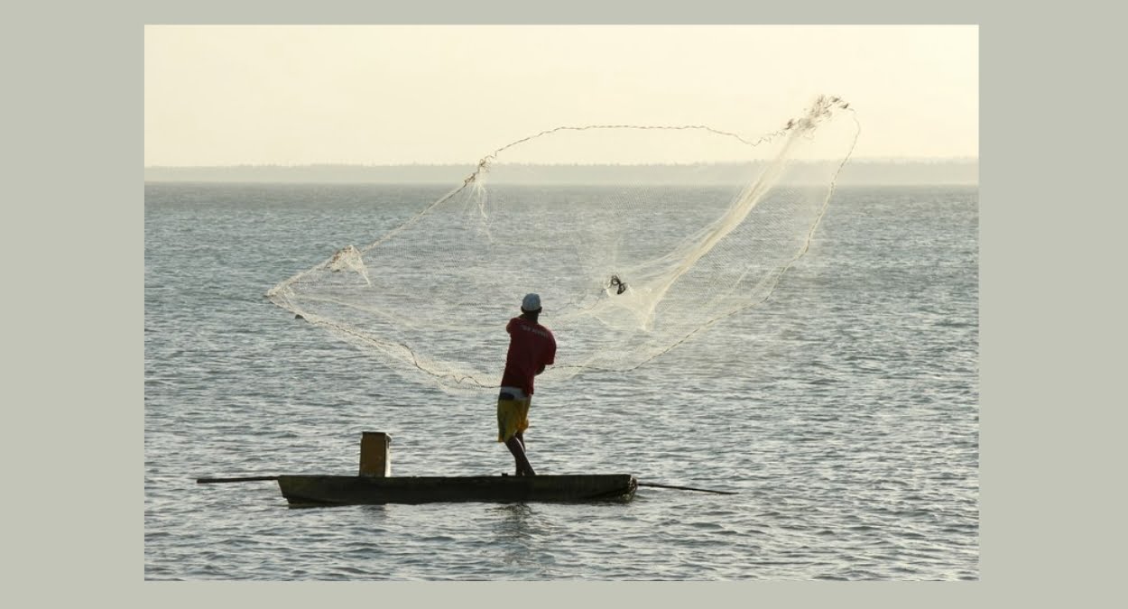 Registro de Pescador Profissional: Confira novas regras do Ministério da Pesca e Aquicultura