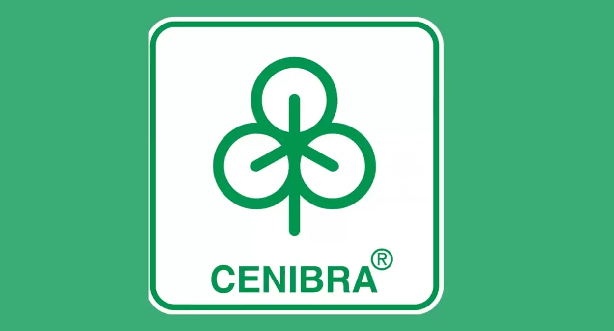 Cenibra: Confira vagas de estágio para 2024 e como se inscrever