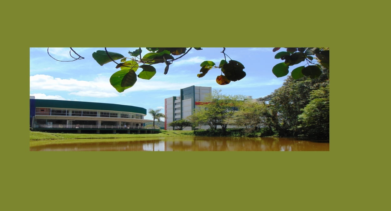 UDESC divulgou as datas do Vestibular de Verão 2024, veja quando se inscrever