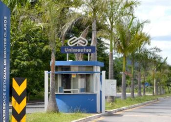 Unimontes 2025: Confira as obras exigidas no vestibular e no PAES