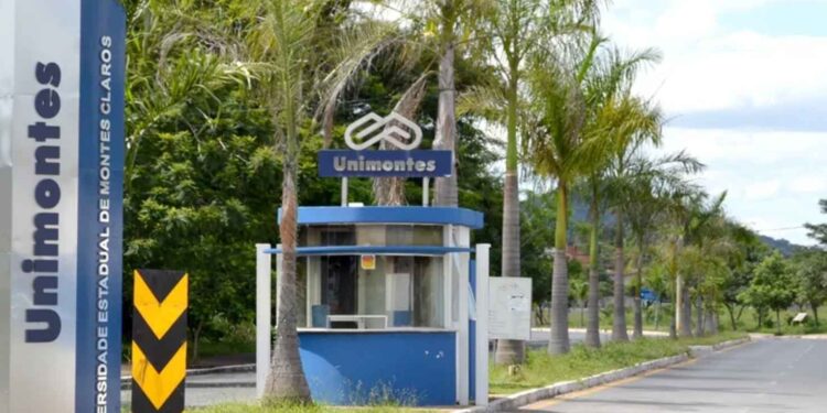 Unimontes 2025: Confira as obras exigidas no vestibular e no PAES