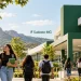 processo seletivo ead ifsudestemg